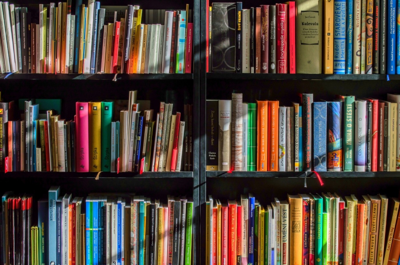 magasin-ANTIBES-min_books_bookstore_book_reading_shop_writer_sale_books_read-822866
